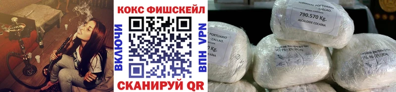 где можно купить   Камышлов  Кокаин FishScale 