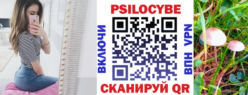 где продают   Камышлов  Псилоцибиновые грибы Psilocybe 